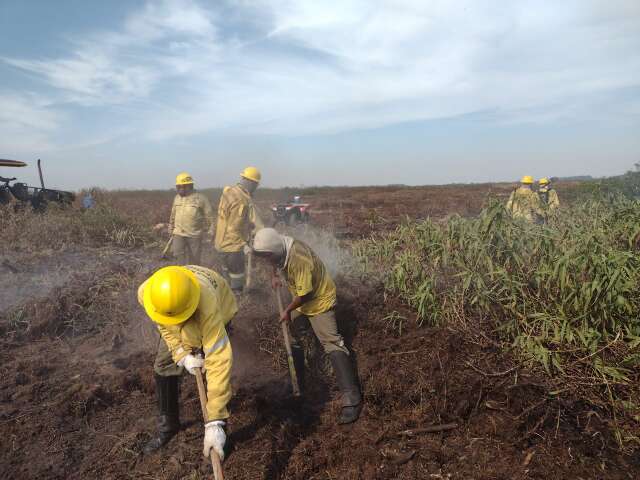 Pantanal sofre com fogo de turfa h&aacute; mais de 20 dias consecutivos na divisa MT-MS