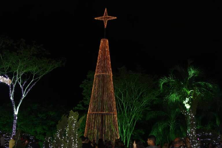 Árvore de Natal iluminada é uma das decorações da Cidade do Natal. (Foto: Alex Machado)