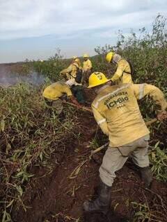Incêndio de turfa faz fogo percorrer sob a terra consumindo material orgânico acumulado após as estaçãos de seca e cheia do Pantanal. (Foto: Divulgação)