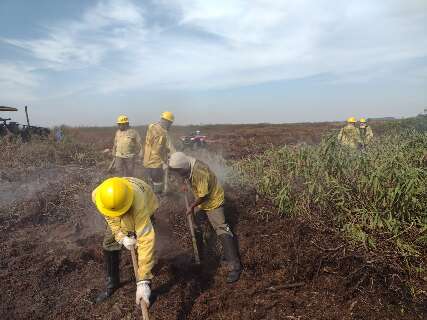 Pantanal sofre com fogo de turfa há mais de 20 dias consecutivos na divisa MT-MS