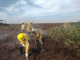 Brigadistas do ICMBIO estão há mais de 20 dias lutando contra o fogo no Pantanal. (Foto: Divulgação)