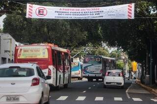 Ônibus e veículos trafegando, cada um em suas faixas (Foto: Marcos Maluf)