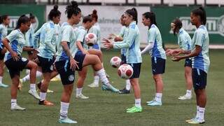 Palmeiras e Santos decidem nesta tarde t&iacute;tulo do Paulist&atilde;o Feminino