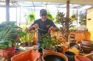 A poda é outro cuidado que o profissional tem com as plantas. (Foto: Marcos Maluf)