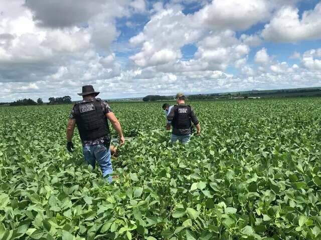 Homem achado morto em planta&ccedil;&atilde;o estuprou menina de 2 anos, conclui pol&iacute;cia 