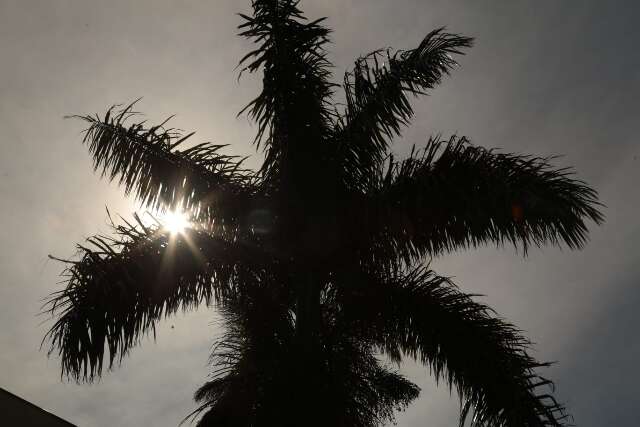 Natal tem alerta de chuva com queda de granizo em MS