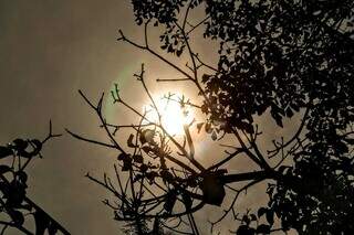 O sol brilha forte em Campo Grande. Apesar de não estar no ranking das cidades mais quente, tem feto muito calor na capital sul-mato-grossense (Foto: Kisie Aionã) 