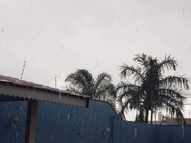 Confirmando previs&atilde;o, tarde &eacute; de chuva com vento em Campo Grande