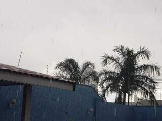 Confirmando previs&atilde;o, tarde &eacute; de chuva com vento em Campo Grande