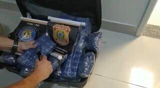 Entorpecentes estavam enrolados em fita dentro de uma mala (Foto: Divulgação/PF)