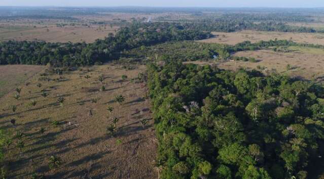 Lei dá mais 180 dias para adesão ao Programa de Regularização Ambiental 