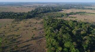 PRA é oportunidade para proprietários e possuidores ficarem em dia com seu passivo ambiental. (Foto: Arquivo/Imasul)