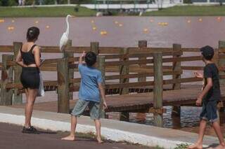 Garça no deck do lago principal logo vira atração entre os visitantes. (Foto: Marcos Maluf)