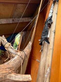 Cordas amarradas a um dos pilares e ao tronco que restou de uma árvore. (Foto: Ângela Kempfer) 