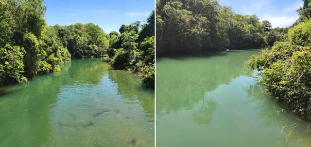 Prefeito de Bonito diz que Rio Formoso est&aacute; sendo polu&iacute;do por empres&aacute;rio