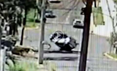 Vídeo mostra capotagem que resultou no desaparecimento de cachorrinha