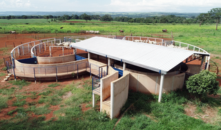 Curral antiestresse instalado pela Embrapa-Gado de Corte vem tendo resultados altamente positivos. (Foto: Arquivo/Embrapa)