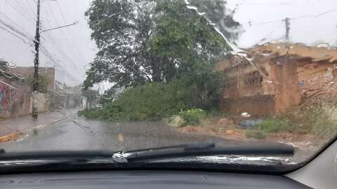 Galho de árvore cai com chuva forte e tranca rua no Chácara Cachoeira