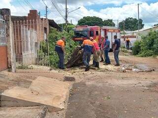 Equipes limpando local após poda de árvore de &#34;estiumação&#34; de Maira (Foto: Ana Beatriz Rodrigues)