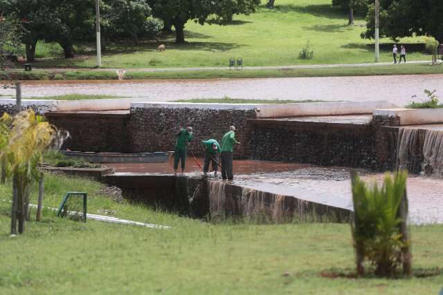 V&iacute;timas de temporal, 4 capivaras s&atilde;o encontradas mortas no Parque das Na&ccedil;&otilde;es