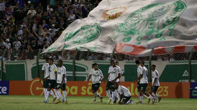 Palmeiras vence Am&eacute;rica-SP por 3 a 1 e embala sequ&ecirc;ncia de vit&oacute;rias na Copinha