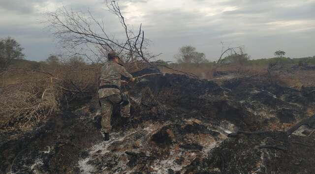 N&uacute;mero de infra&ccedil;&otilde;es por inc&ecirc;ndios florestais diminu&iacute;ram 56% em 2022