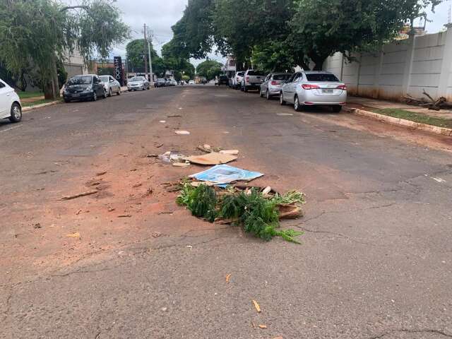 J&aacute; virou cultural, mas galhos para sinalizar buracos podem causar acidentes