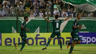 Jogadores do Palmeiras comemoram gol marcado nesta segunda-feira. (Foto: Divulgação/Palmeiras)