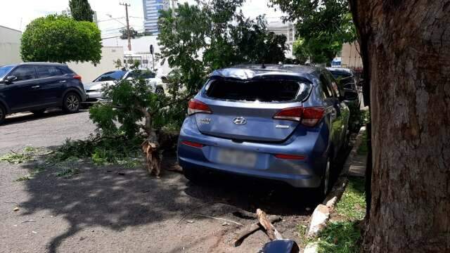 Caminh&atilde;o enrosca em fio, galho cai e destr&oacute;i carro estacionado