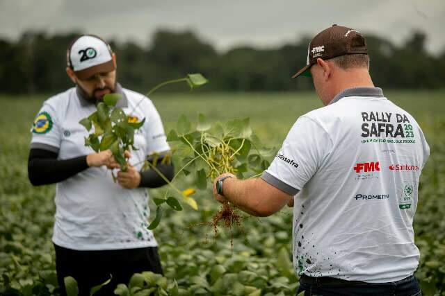 Rally da Safra confirma aumento de 41% na produtividade da soja em MS