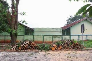 Para evitar que &aacute;rvores sejam arrancadas, morador chama a PM