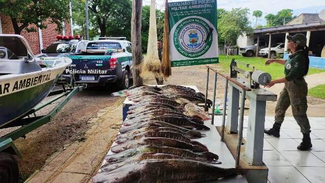 Repress&atilde;o &agrave; pesca predat&oacute;ria tem R$ 288 mil em multas no Estado 