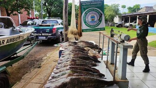 Apreensão de peixes pela Polícia Militar Ambiental. (Foto: Divulgação/PMA)