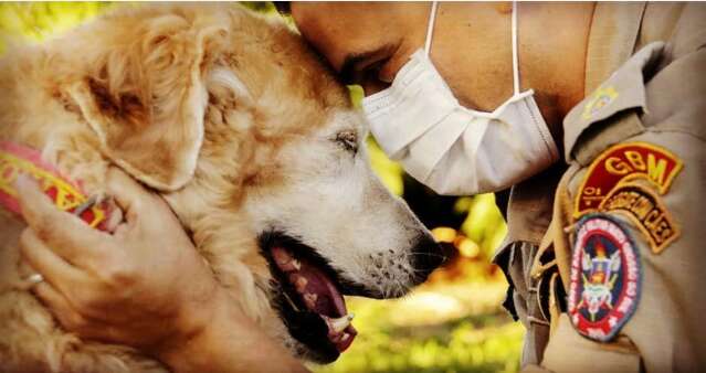 Morre Airon, cão que estreou projeto que leva animais até hospitais