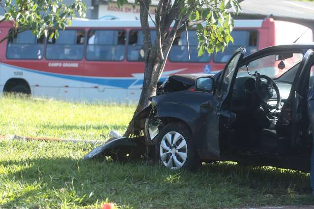Motorista abandona carro ap&oacute;s derrubar placa de sinaliza&ccedil;&atilde;o e atingir &aacute;rvore