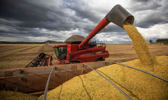 MS tem perda de 7% no faturamento do campo em 2022