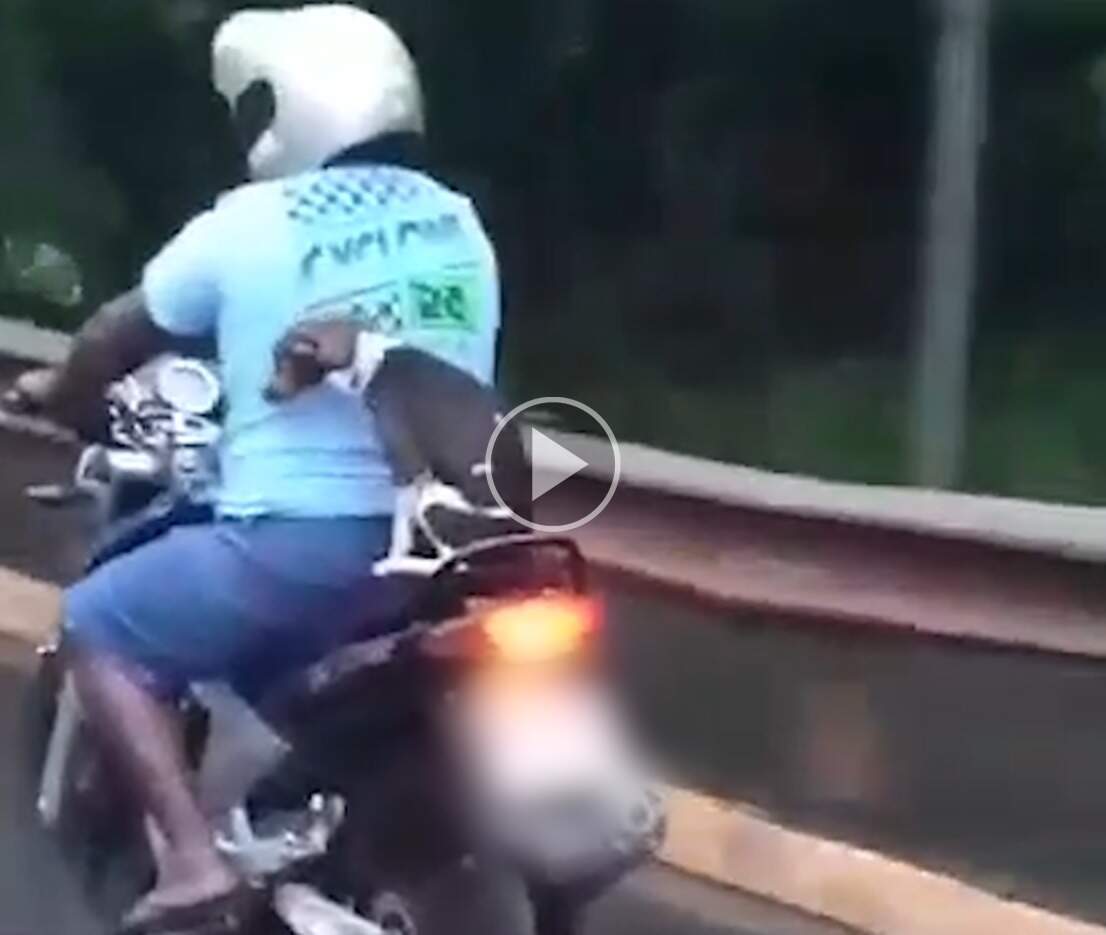 De carona em moto, sem qualquer proteção, vira-lata chama atenção 