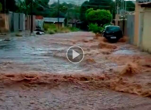 Em 1 hora, chuva volta a provocar quedas de &aacute;rvores e alagamentos pela Capital