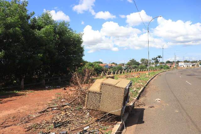 Por 18 km, Avenida Norte Sul acumula lixo, desmoronamentos e dinheiro perdido