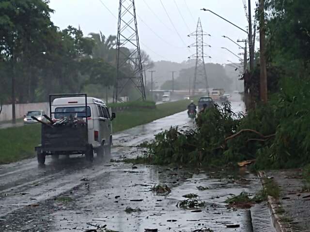 Chuva de ver&atilde;o n&atilde;o d&aacute; tr&eacute;gua, espanta calor&atilde;o e causa estragos na Capital 