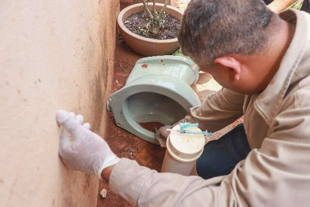 Alta infesta&ccedil;&atilde;o leva Sa&uacute;de a intensificar a&ccedil;&otilde;es contra dengue no Noroeste