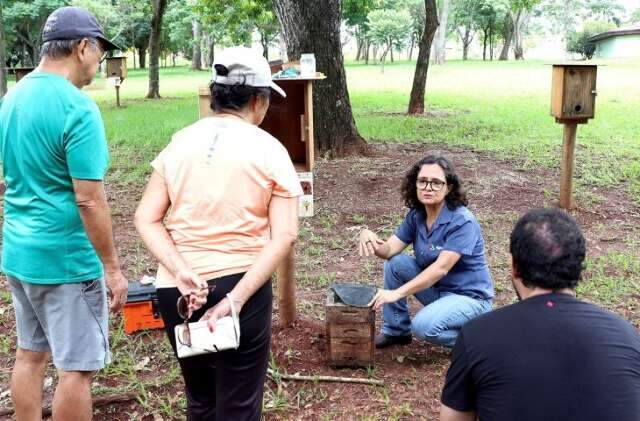 Primeira visita guiada a abelhas sem ferr&atilde;o ser&aacute; no dia 31 de janeiro