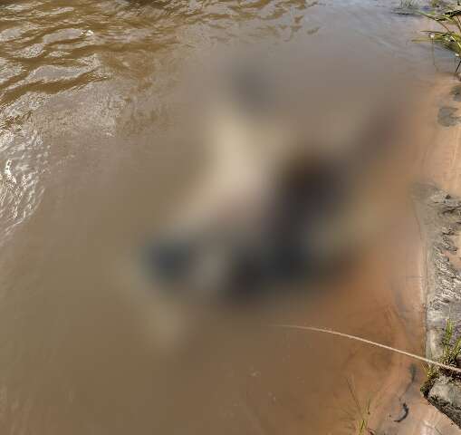 Corpo de homem em decomposi&ccedil;&atilde;o &eacute; encontrado no Rio Aquidauana
