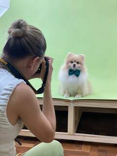 Além da parte alimentícia, a cafeteria conta com um estúdio fotográfico para os pets. (Foto: Divulgação)