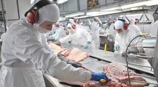 Frigorífico de carne suína em Mato Grosso do Sul (Foto: Semadesc)