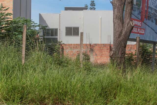 Maior dor de cabe&ccedil;a pela cidade, terreno baldio s&oacute; vira multa em 24% dos flagras