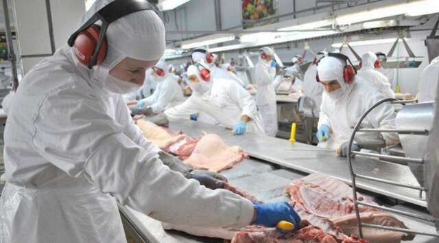 Em MS, exporta&ccedil;&otilde;es de carne bovina subiram quase 30% em 2022 