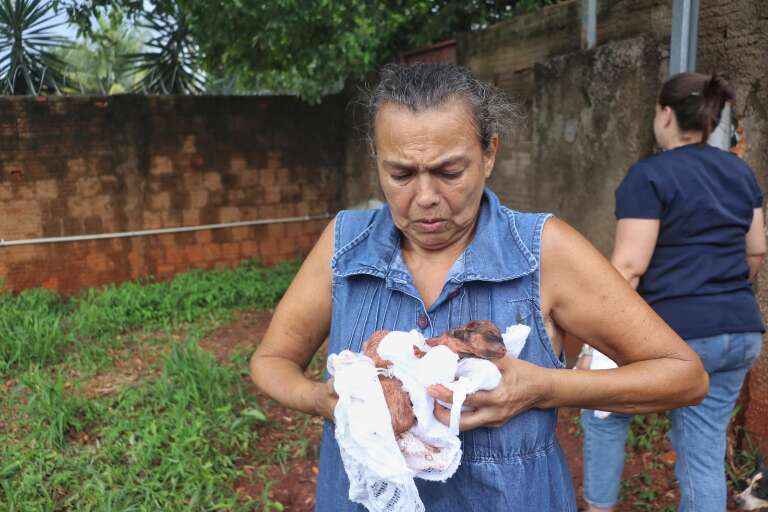 Protetora Marly vai ajudar a alimentar os filhotinhos nos próximos dias (Foto Paulo Francis/Campo Grande News)