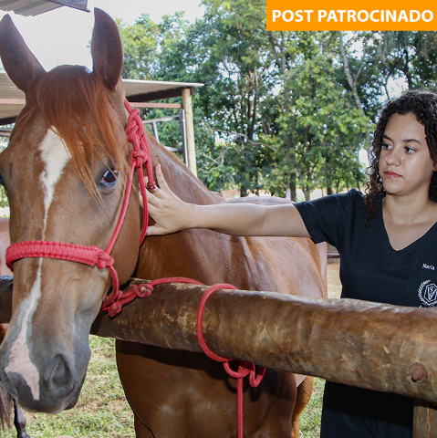 Na Unicam, você se torna auxiliar veterinário em até 15 meses e com aval do CRMV