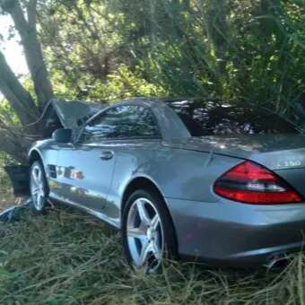 Condutor desvia de capivaras, bate em &aacute;rvore e Mercedes tem frente destru&iacute;da